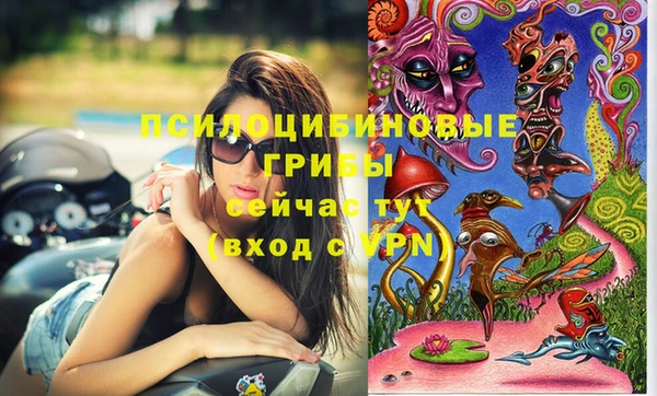 прущая мука Алзамай