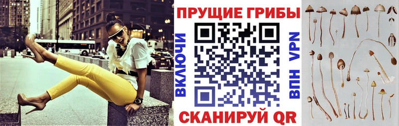 Галлюциногенные грибы ЛСД Плавск